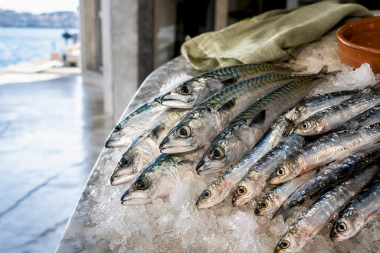 Fresh fatty fish representing marine omega three sources